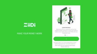 Ziidi is now live, offering similar features to Mali, allowing users to invest, earn interest, and lock funds.