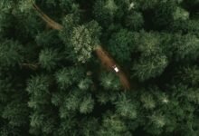 The carbon market has a trust problem. Discover how a KES 7.58 billion climate fund is using IoT cookstoves and satellite telemetry to mathematically prove emission reductions in emerging markets.