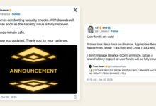 Tether and Circle froze about USD 2.4 billion after a suspected Binance hack. CZ says Binance will cover the rest.